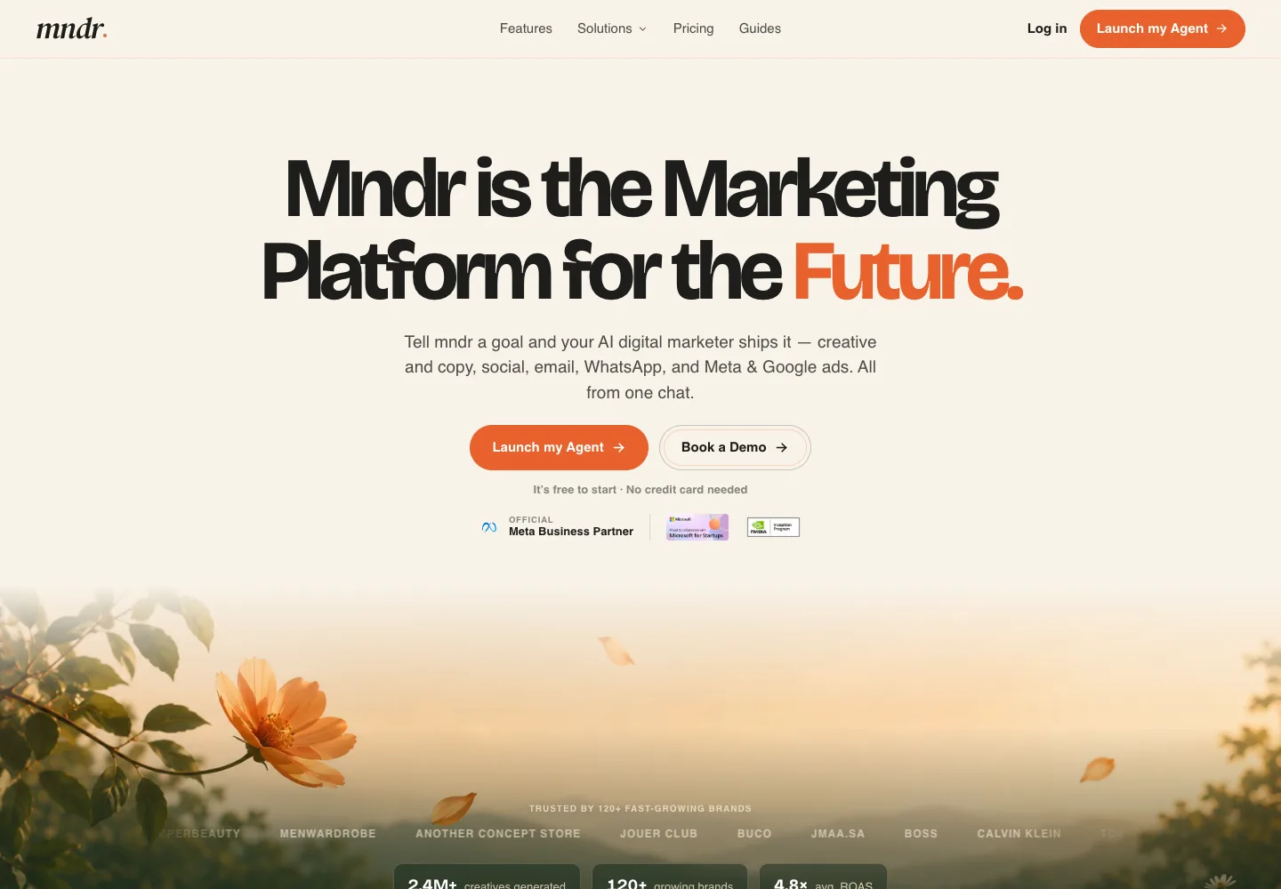 mndr.ai — product overview